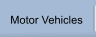 Motor Vehicles